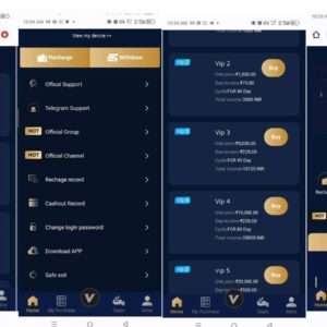 Investment website with VIP Plane and INR