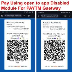 Pay using open to app Disabled Module Kit-PAYTM GETWAY